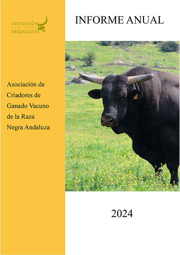 Cabecera-Informe-anual-2024-Asociacion-Raza-Negra-Andaluza