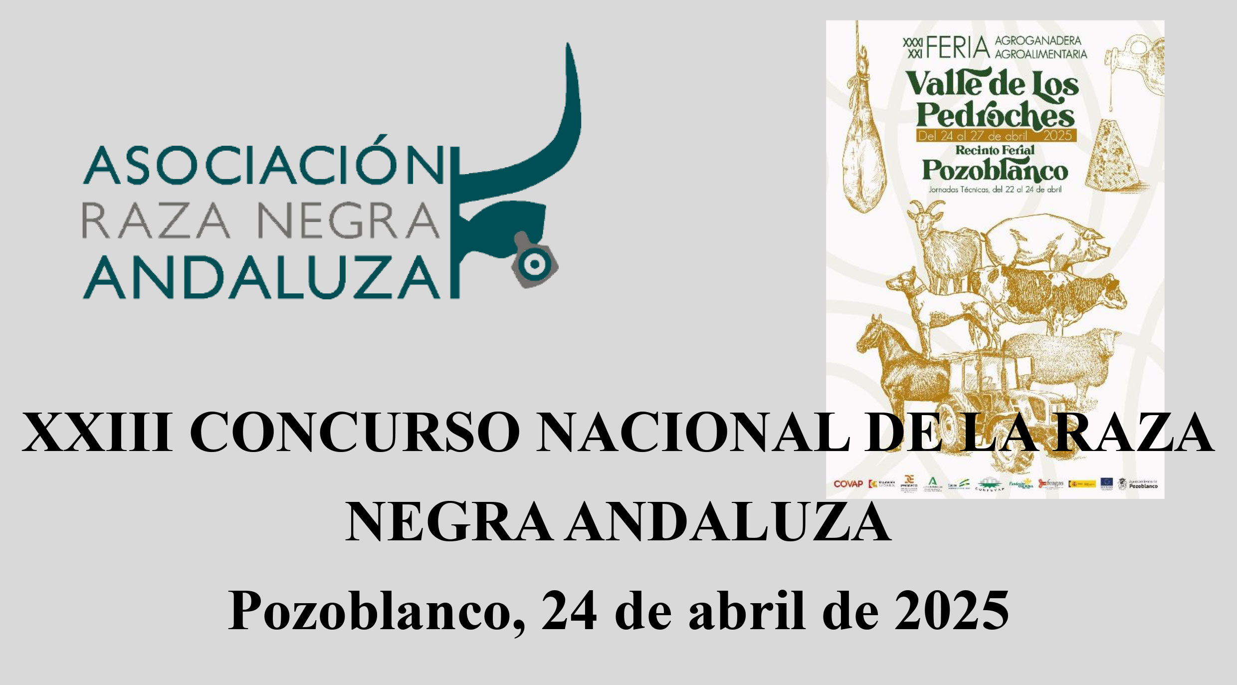 ACTA-CONCURSO-ANA-Pozoblanco-2025-portada