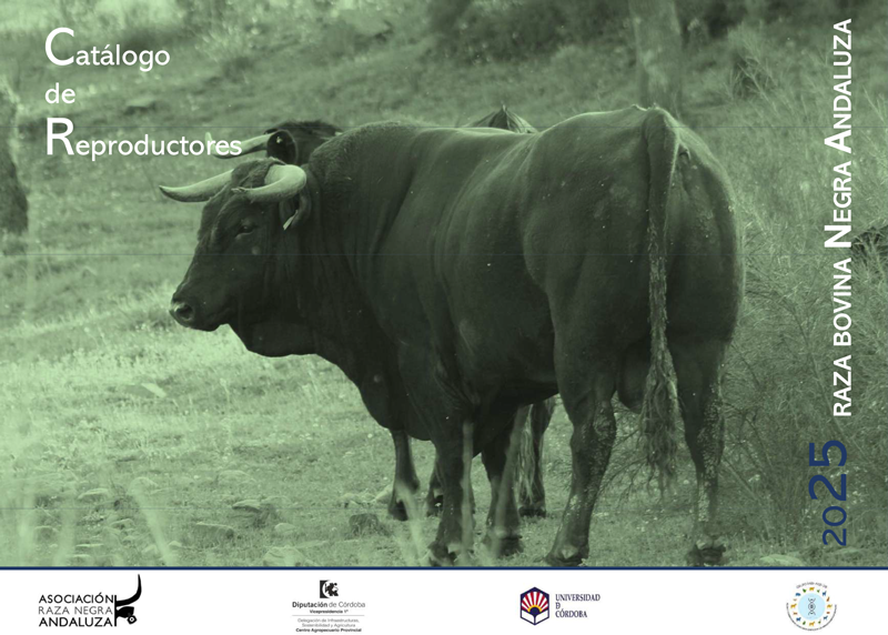 Catálogo Negra Andaluza 2025 Cabecera