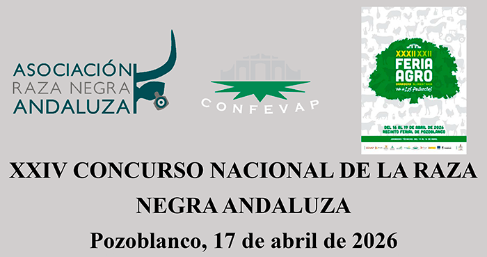 Acta-Concurso-ANA-Pozoblanco-2026