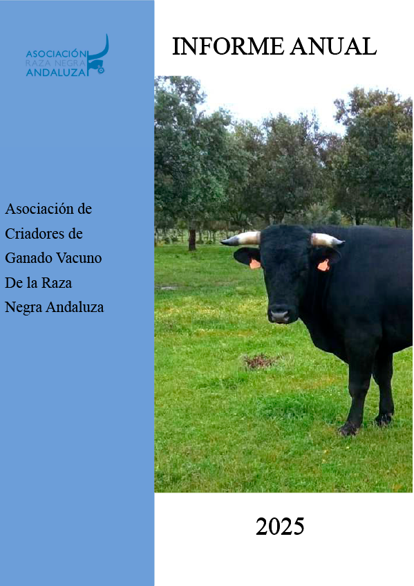 Cabecera-Informe-anual-2026-Asociacion-Raza-Negra-Andaluza